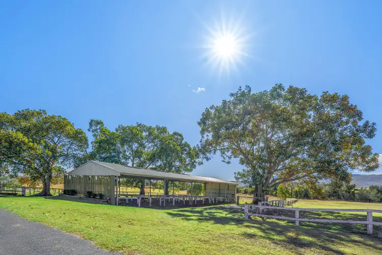Third view of Homely house listing, 3234 Beaudesert-Nerang Road, Biddaddaba QLD 4275