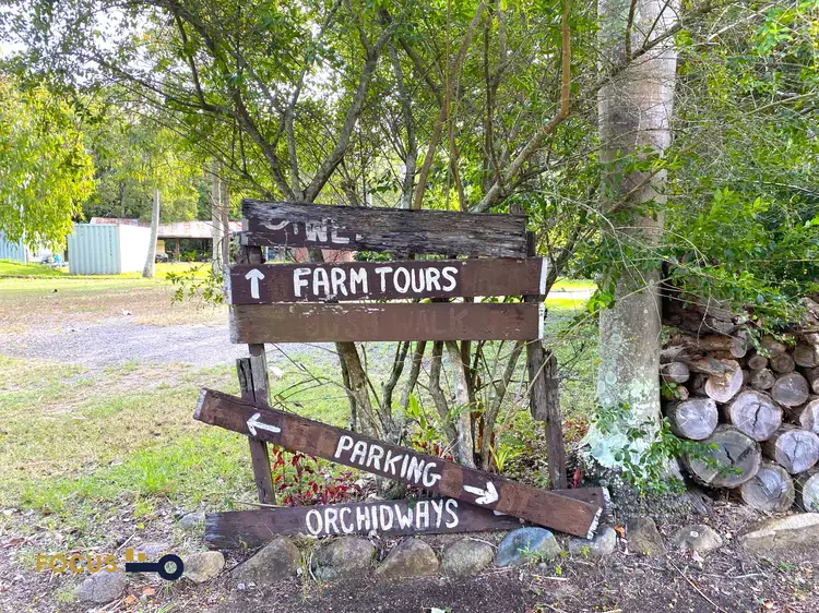 Second view of Homely rural property listing, 85 Masottis Road, Homebush QLD 4740