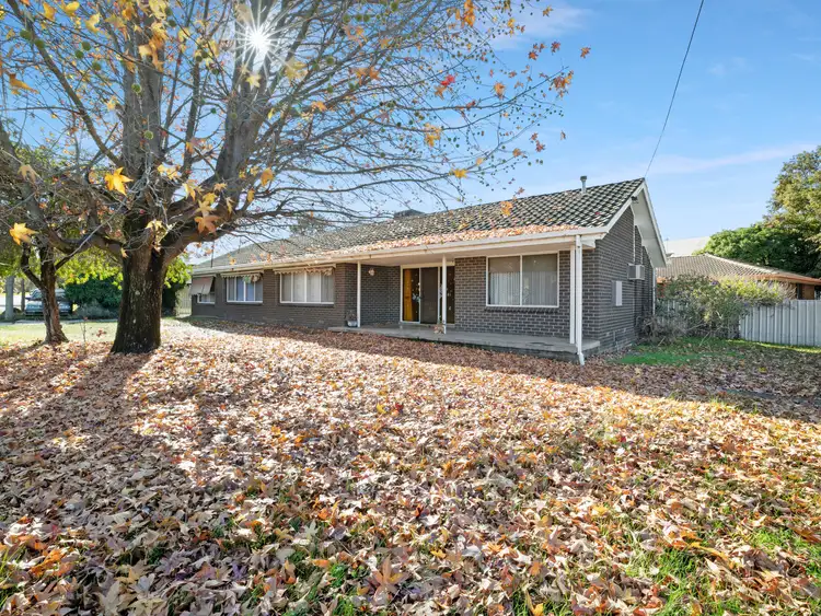 Main view of Homely house listing, 482 kaitlers road, Lavington NSW 2641