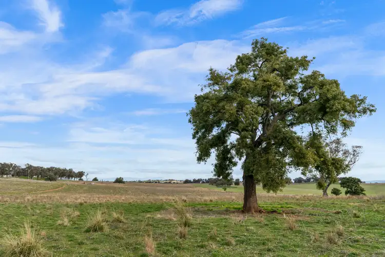 Fourth view of Homely rural property listing, Henry Parkes Way, Manildra NSW 2865