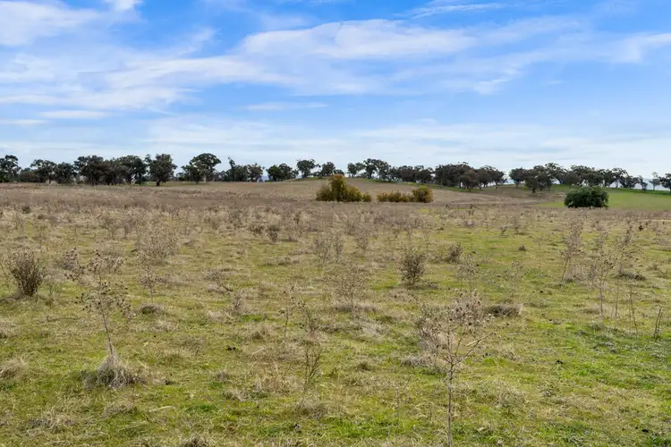 Sixth view of Homely rural property listing, Henry Parkes Way, Manildra NSW 2865