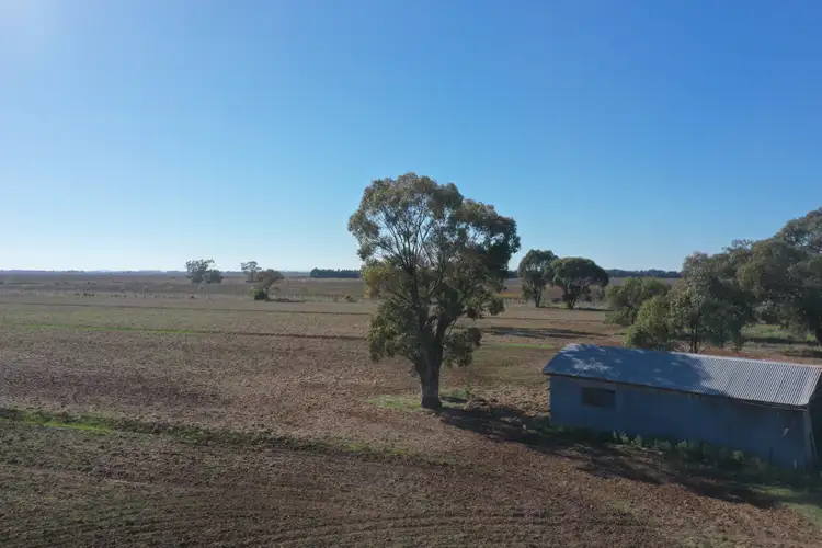 Fourth view of Homely rural property listing, 26 Morphett Road, Whitton NSW 2705
