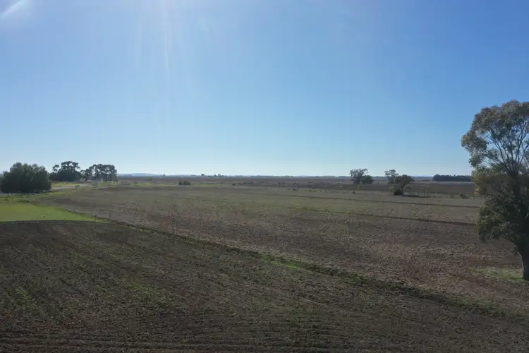 Fifth view of Homely rural property listing, 26 Morphett Road, Whitton NSW 2705