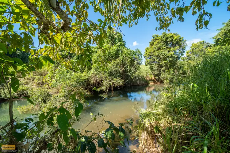 Fourth view of Homely rural property listing, 122 Daly Road, Camp Creek QLD 4871