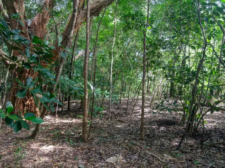 Second view of Homely land listing, 78 May Street, Cooktown QLD 4895