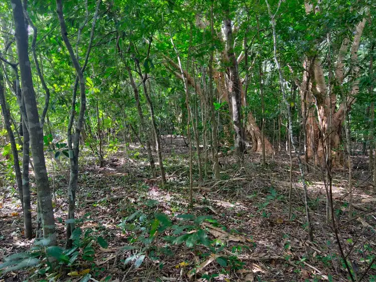 Third view of Homely land listing, 78 May Street, Cooktown QLD 4895