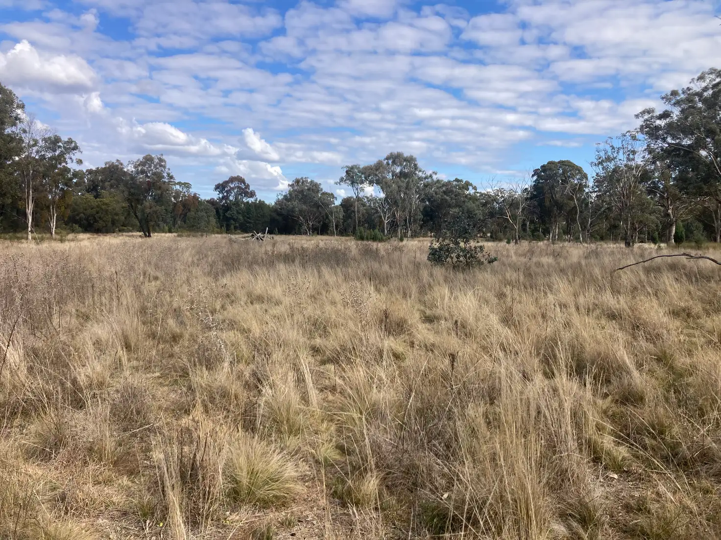 Main view of Homely rural property listing, 285 Bourke Road, Neilrex via, Coolah NSW 2843