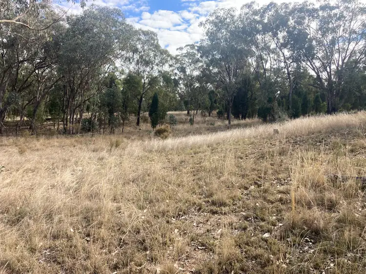 Fourth view of Homely rural property listing, 285 Bourke Road, Neilrex via, Coolah NSW 2843
