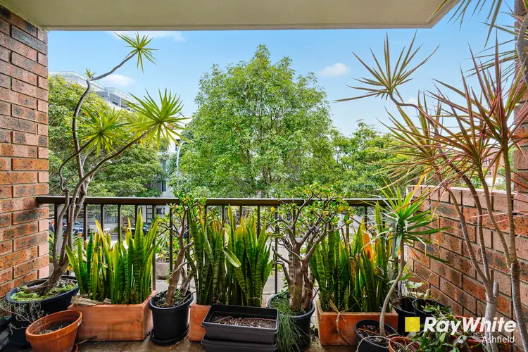 Second view of Homely unit listing, 163/267 Bulwara Road, Ultimo NSW 2007