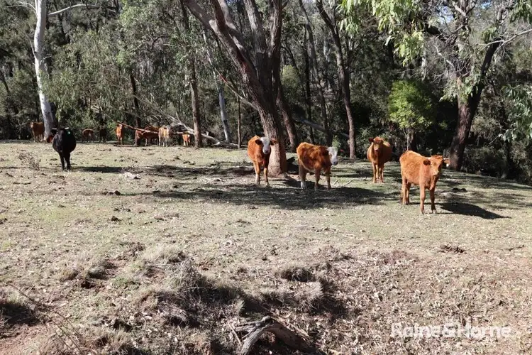 Fifth view of Homely rural property listing, LOT 62 Shailers RD, Gordonbrook QLD 4610