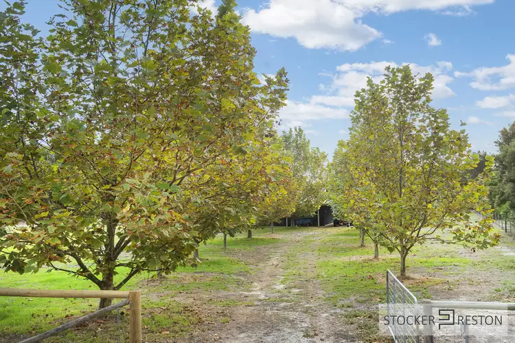 30 Shearers Close