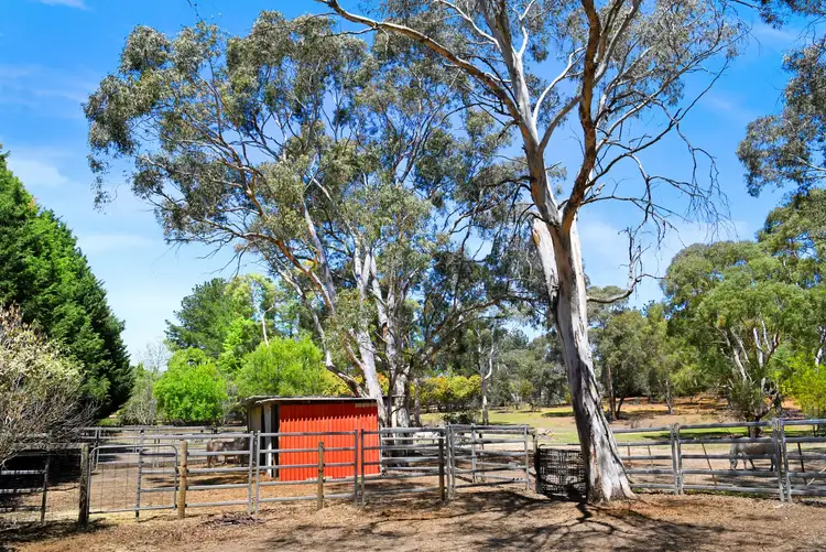 Fifth view of Homely house listing, 6 Carribee Close, Berrima NSW 2577