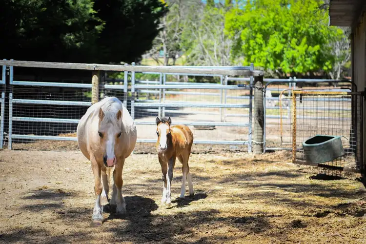 Sixth view of Homely house listing, 6 Carribee Close, Berrima NSW 2577