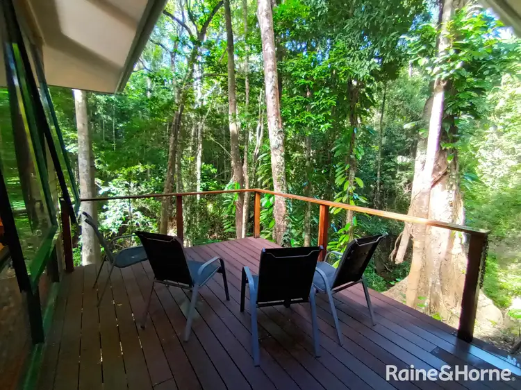 Third view of Homely house listing, 109 Spurwood Road, Cow Bay, Daintree QLD 4873