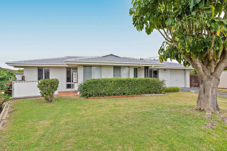 20 Pagneil Court, Hamilton Hill WA 6163