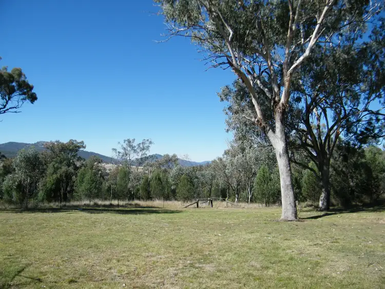 Sixth view of Homely rural property listing, 965 Borah Creek Road, Quirindi NSW 2343