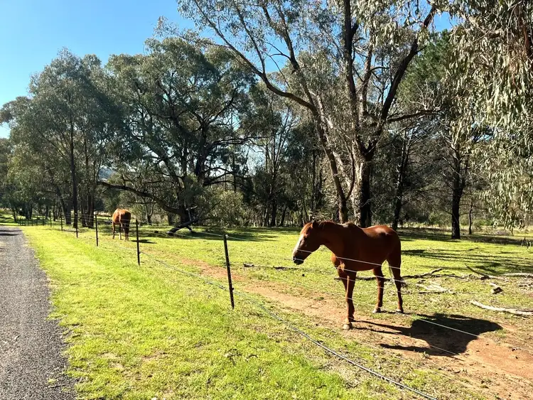 Third view of Homely rural property listing, 74 Tibuc Road, Coonabarabran NSW 2357