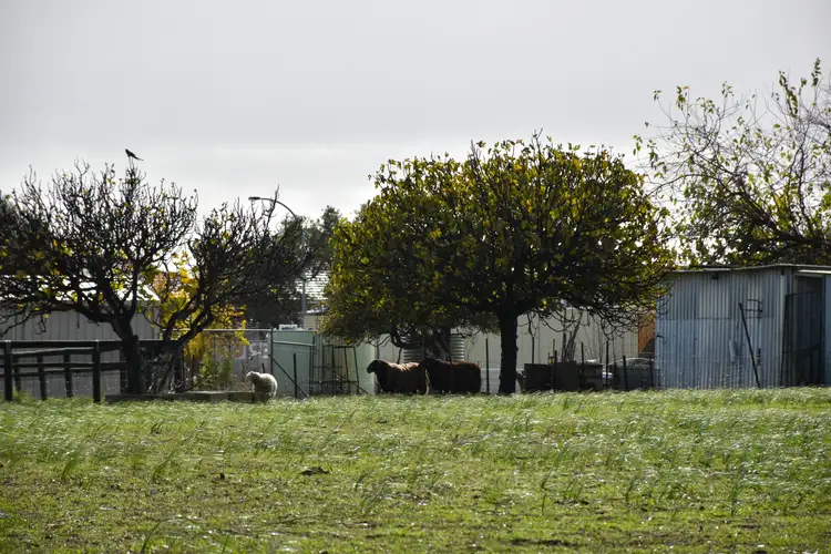 Fourth view of Homely house listing, 52 Kemp Street, Pearsall WA 6065