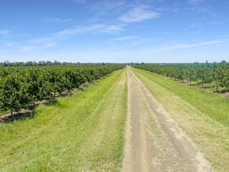 Main view of Homely rural property listing, 576 North Bucca Road, Bucca QLD 4670