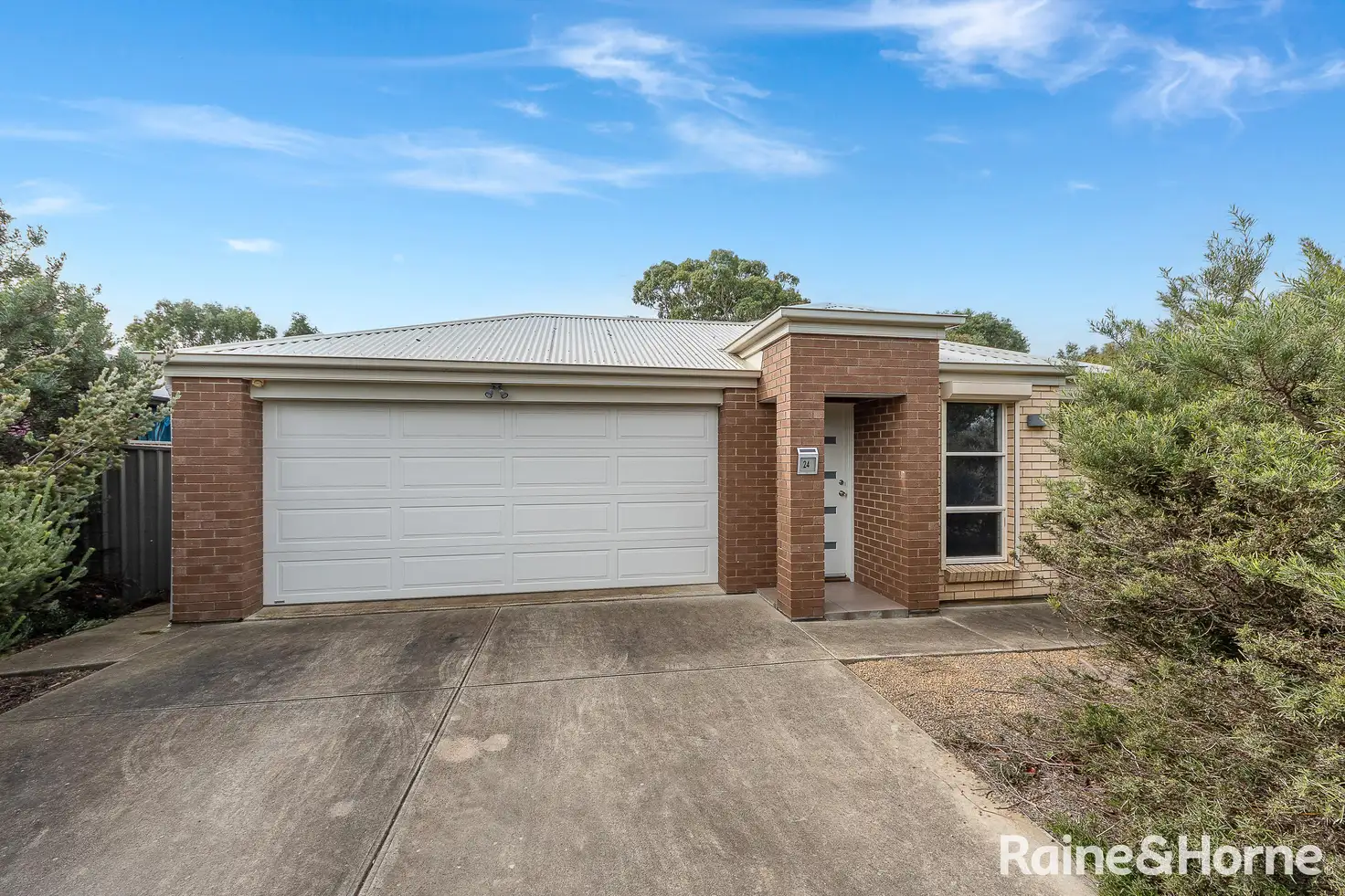 Main view of Homely house listing, 24 Catt Drive, Strathalbyn SA 5255