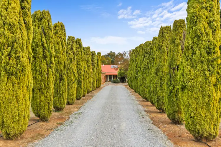 Fifth view of Homely rural property listing, 209 Top Somerton Road, Attunga NSW 2345
