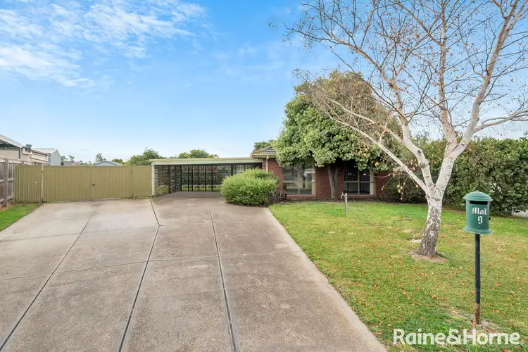 9 Paterson Court