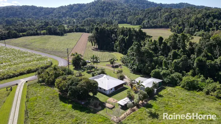 Main view of Homely house listing, 55 O'Donoghue Road, Miallo QLD 4873