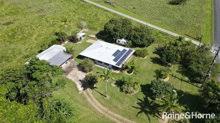 Third view of Homely house listing, 55 O'Donoghue Road, Miallo QLD 4873