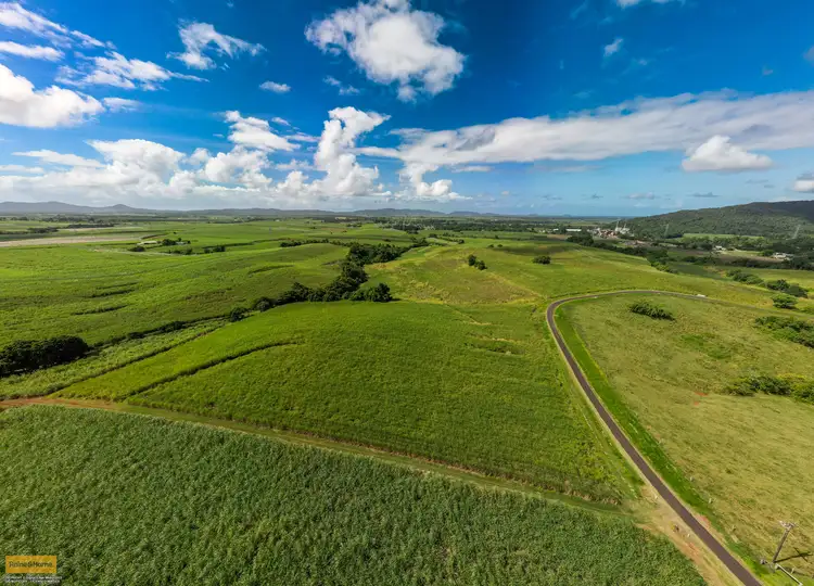 Main view of Homely rural property listing, 73 No 6 Branch Road, South Johnstone QLD 4859