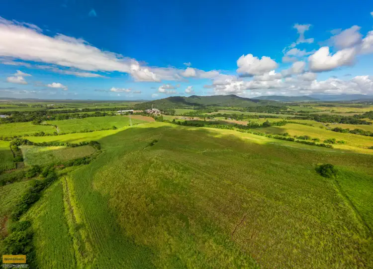 Third view of Homely rural property listing, 73 No 6 Branch Road, South Johnstone QLD 4859