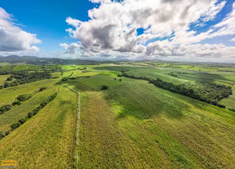 Fifth view of Homely rural property listing, 73 No 6 Branch Road, South Johnstone QLD 4859