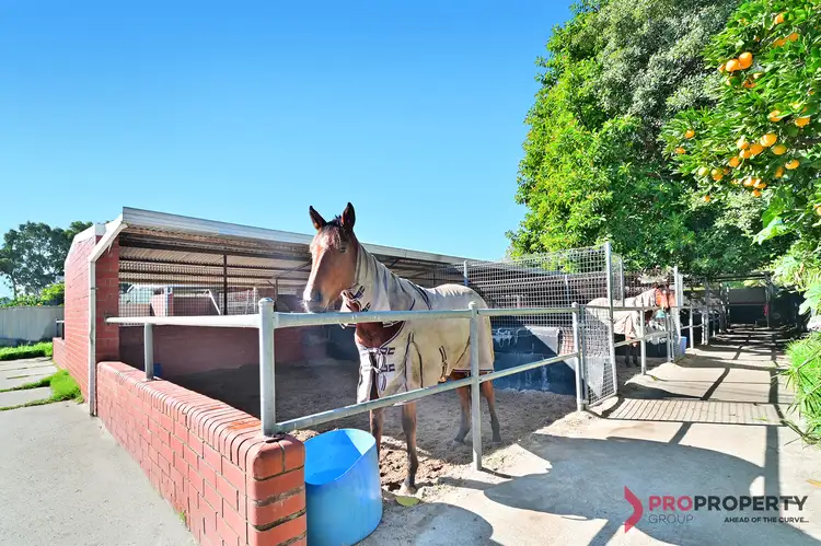 54 Matheson Road, Ascot WA 6104