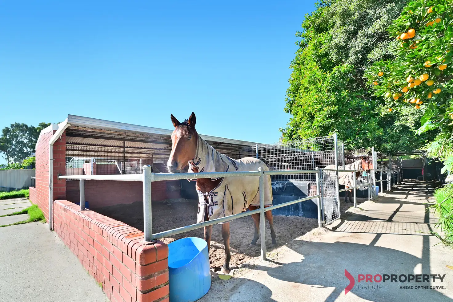 Main view of Homely house listing, 54 Matheson Road, Ascot WA 6104