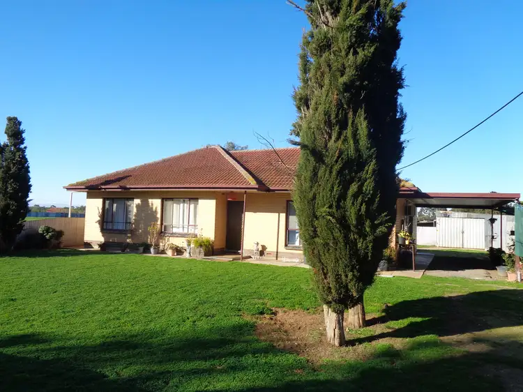 Main view of Homely house listing, 8 Artesian Road, Two Wells SA 5501