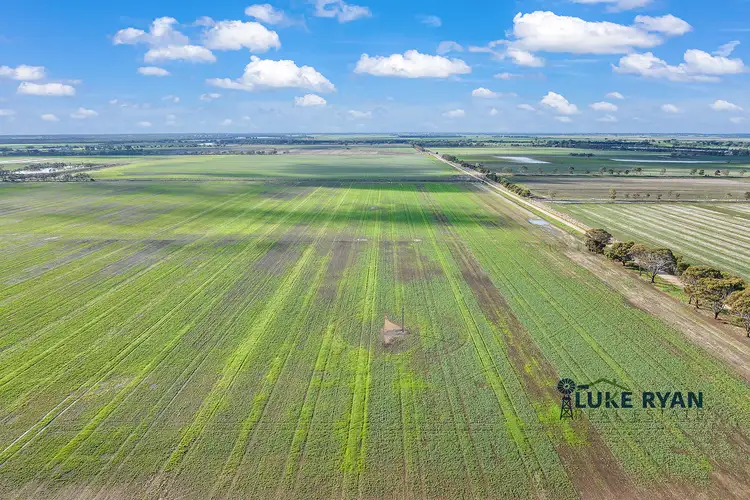 Second view of Homely rural property listing, 427 Darrigan Road, Corop VIC 3559