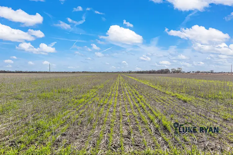 Fourth view of Homely rural property listing, 427 Darrigan Road, Corop VIC 3559