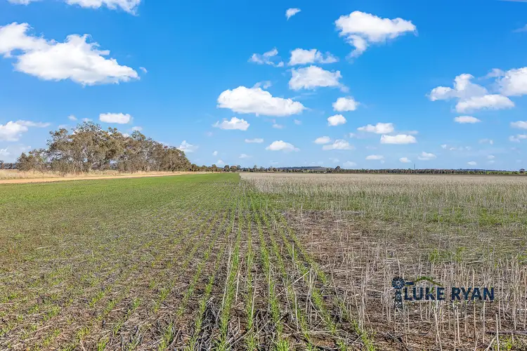 Fifth view of Homely rural property listing, 427 Darrigan Road, Corop VIC 3559