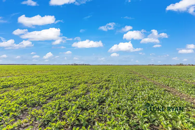 Sixth view of Homely rural property listing, 427 Darrigan Road, Corop VIC 3559