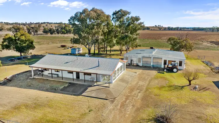 323 Borambil Road, Borambil NSW 2343