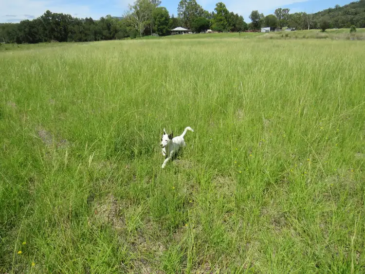 Fourth view of Homely rural property listing, "Long Green" 12 Curra Stock Route Road, Currabubula NSW 2342