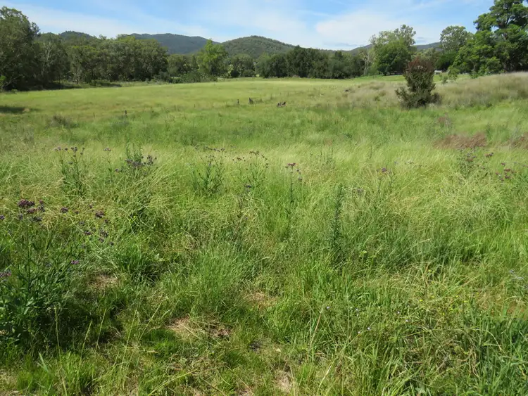 Fifth view of Homely rural property listing, "Long Green" 12 Curra Stock Route Road, Currabubula NSW 2342