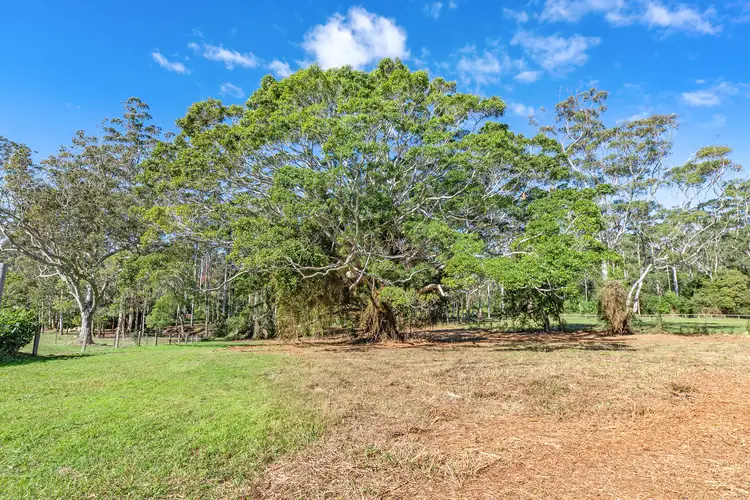 Fifth view of Homely land listing, 1C Esme Street, Tamborine Mountain QLD 4272