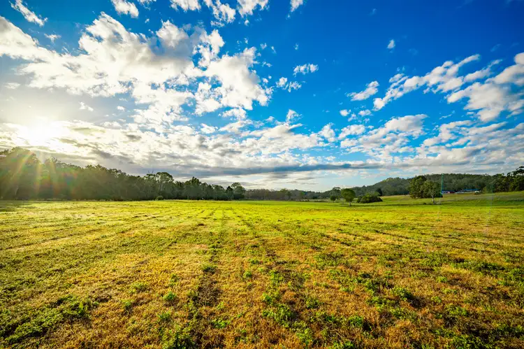 Third view of Homely rural property listing, 822 Gilston Road, Gilston QLD 4211