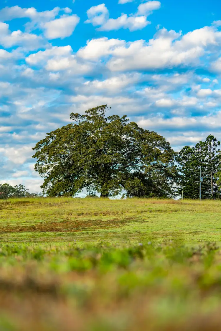 Sixth view of Homely rural property listing, 822 Gilston Road, Gilston QLD 4211
