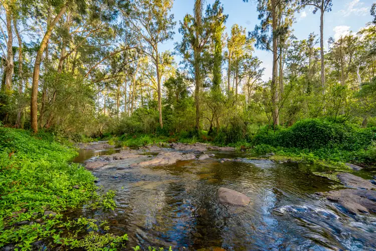 Seventh view of Homely rural property listing, 822 Gilston Road, Gilston QLD 4211