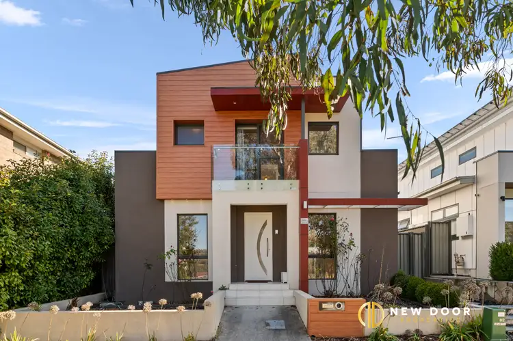 161 Oodgeroo Avenue, Franklin ACT 2913