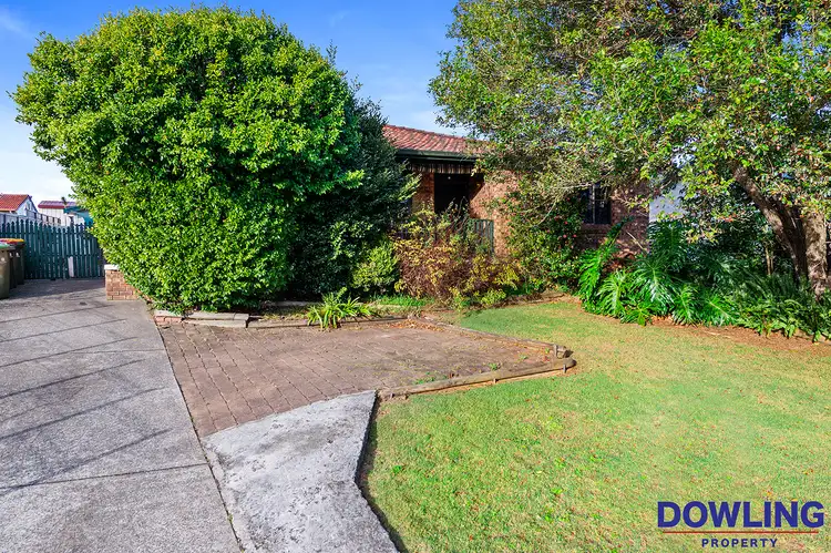 51 Grey Gum Street, Medowie NSW 2318