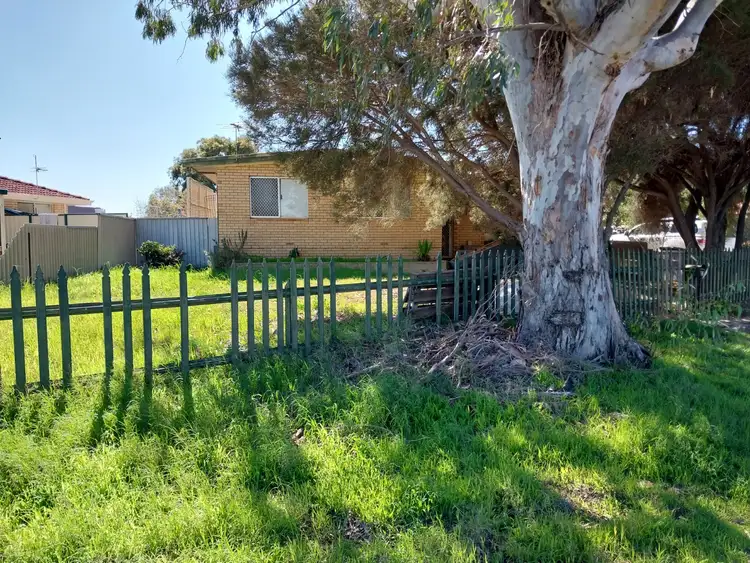 1 Heal Close, Spalding WA 6530
