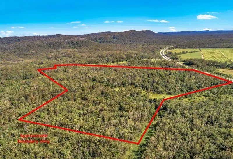 Main view of Homely rural property listing, Lot 1 Pacific Highway, Mororo NSW 2469