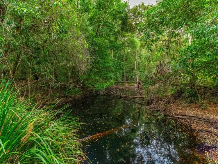 Third view of Homely rural property listing, Lot 1 Pacific Highway, Mororo NSW 2469